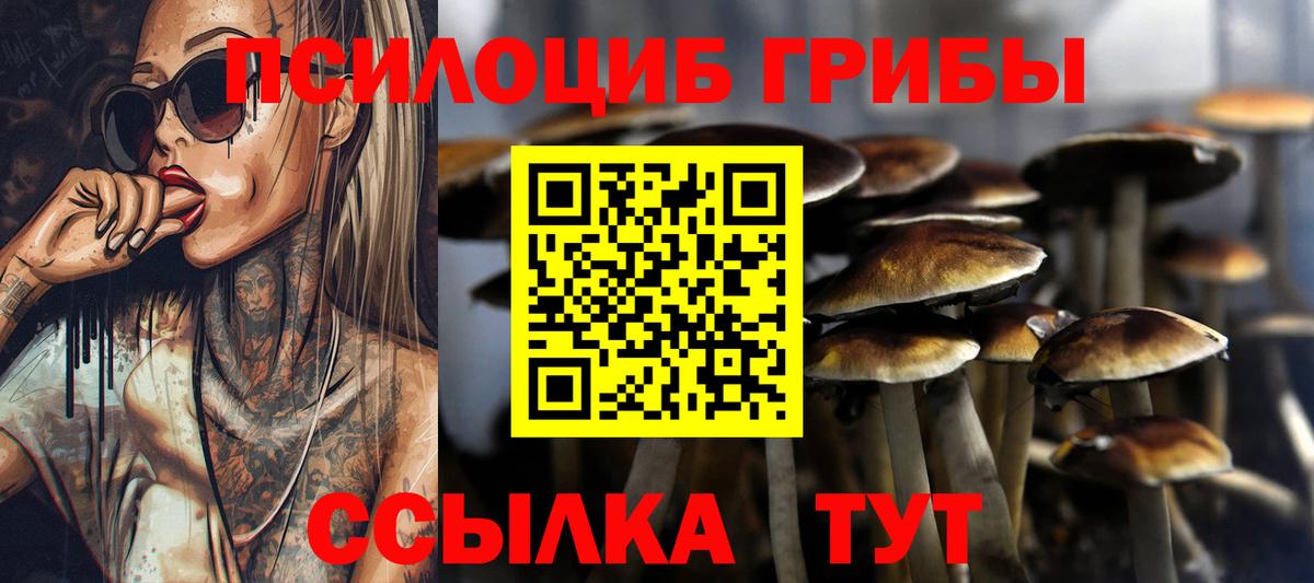 Прокопьевск  Галлюциногенные грибы MAGIC MUSHROOMS  Вход с VPN 